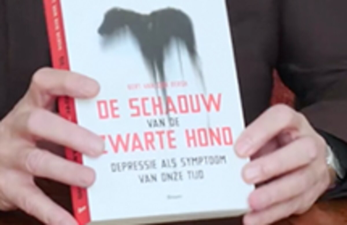 De schaduw van de hond