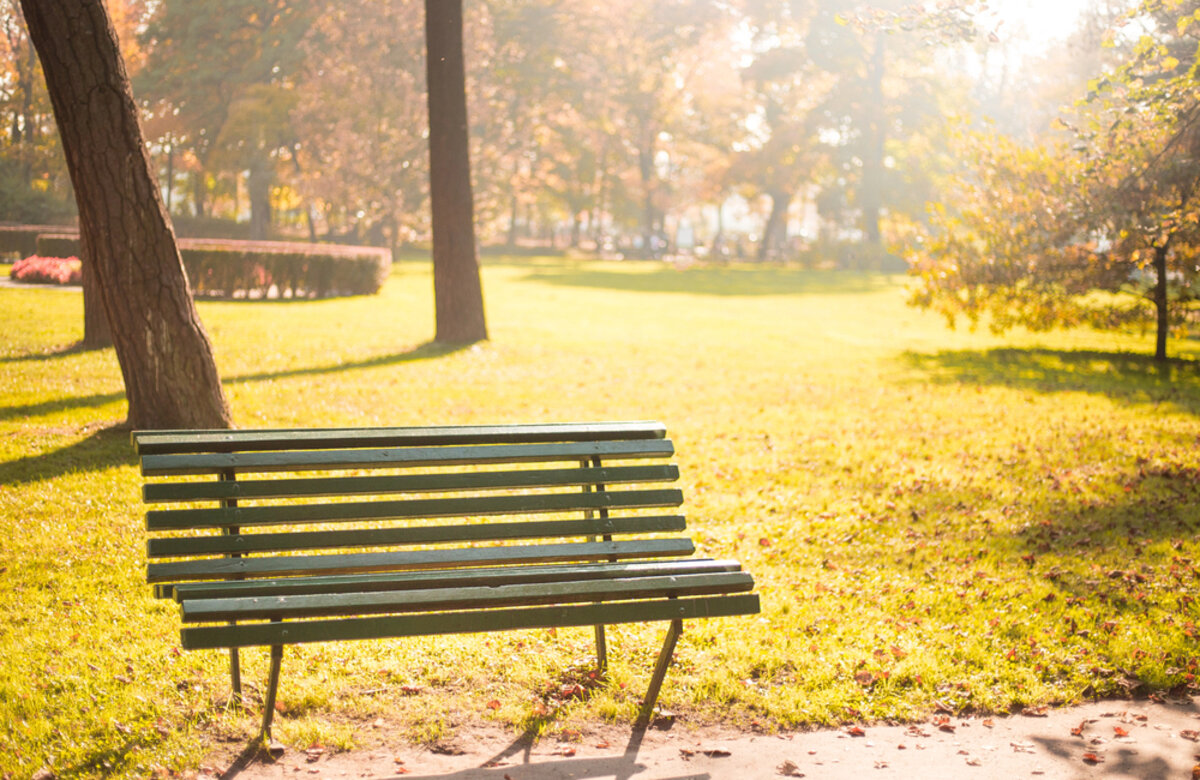leeg bankje in het park in gouden licht